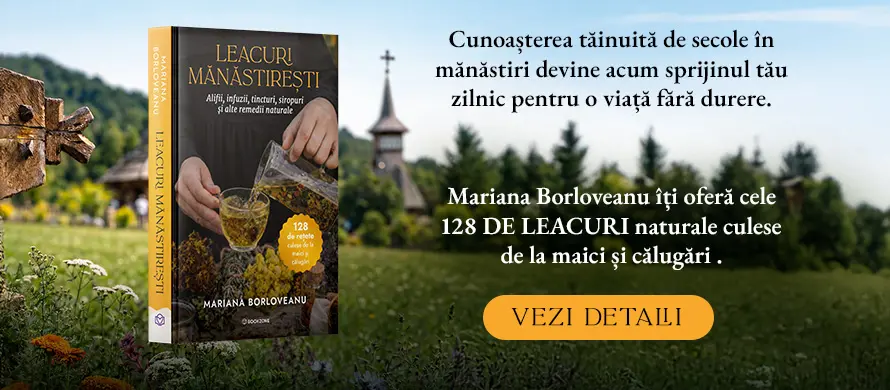 BookZone: Librarie (Online) » EDITURA de Carti