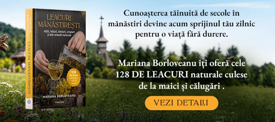 BookZone: Librarie (Online) » EDITURA de Carti