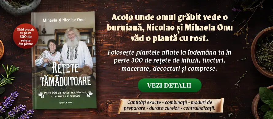BookZone: Librarie (Online) » EDITURA de Carti