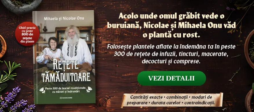 BookZone: Librarie (Online) » EDITURA de Carti