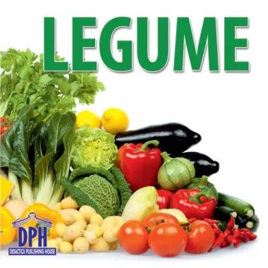 Cărți pliate - Legume (resigilat)