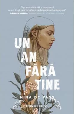 Un an fără tine (resigilat)