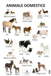Plansa Animale domestice (resigilat)