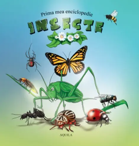 Insecte. Prima mea enciclopedie