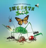Insecte. Prima mea enciclopedie