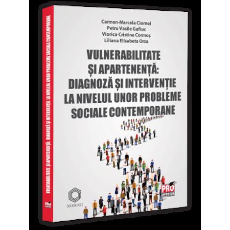 Vulnerabilitate si apartenenta: diagnoza si interventie la nivelul unor probleme sociale contemporane
