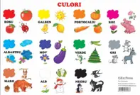 Planse culori