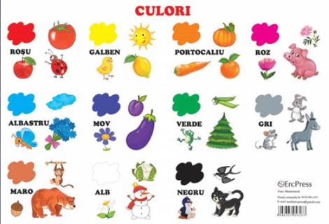 Planse culori