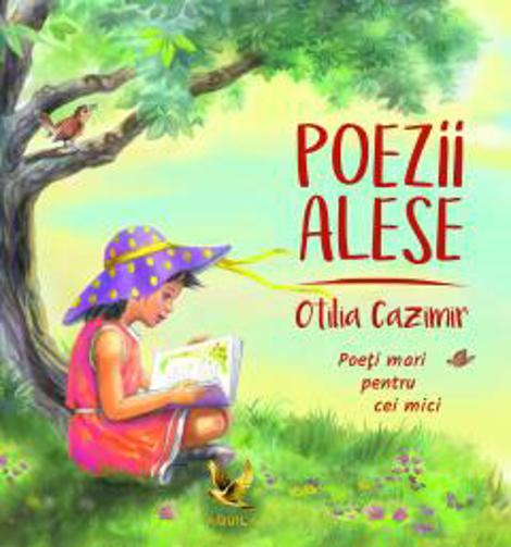 Poezii ales