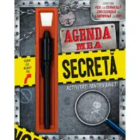 Agenda mea secreta. Activitati pentru baieti