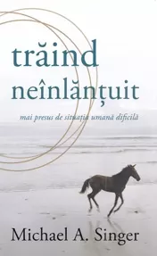 Traind neinlantuit mai presus de situatia umana dificila (resigilat)