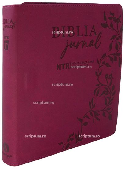 Biblia Jurnal Artistic