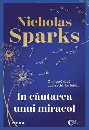 IN CAUTAREA UNUI MIRACOL