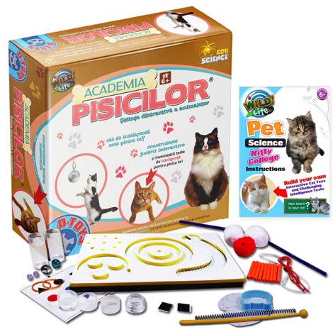 Academia pisicilor