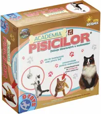 Academia pisicilor
