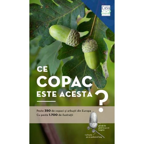 Ce copac este acesta?