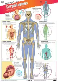 Descopera! Corpul uman (planse educationale) (resigilat)
