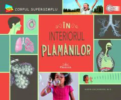 In interiorul plamanilor