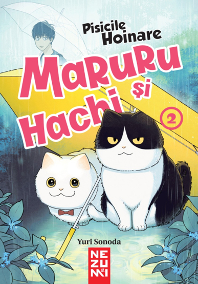 Maruru si Hachi. Seria Pisicile hoinare Vol.2