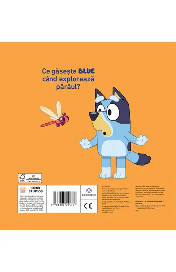 Pachet Micile mari lectii ale lui Bluey