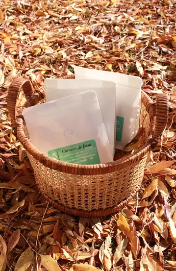 Pachet Cafea de specialitate Emozia