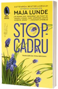 Stop-cadru