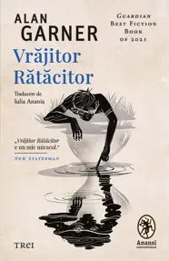 Vrăjitor Rătăcitor