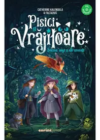 Pisici si vrajitoare. Boacane, magii si alte minunatii