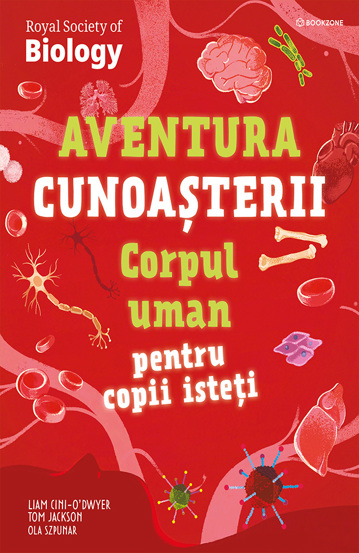 Pachet Educatie interactiva