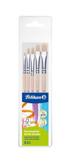 SET 5 PENSULE STARTER (SERIA 613F:2,4,8,10,12) BLISTER