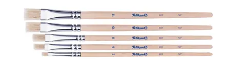 SET 5 PENSULE STARTER (SERIA 613F:2,4,8,10,12) BLISTER