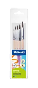 SET 5 PENSULE STARTER (SERIA 24:2,4,8,10,12) BLISTER