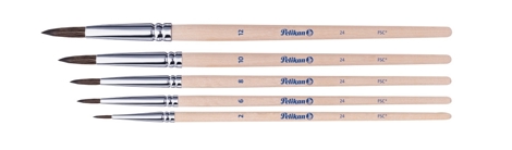 SET 5 PENSULE STARTER (SERIA 24:2,4,8,10,12) BLISTER