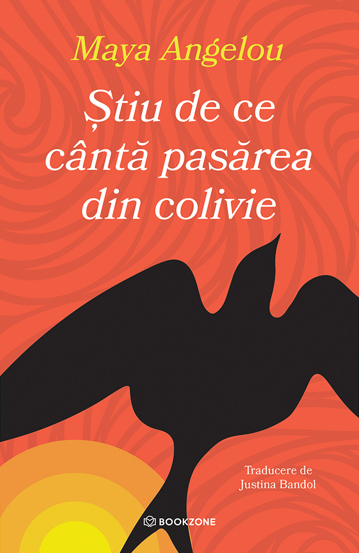 Pachet Femei Puternice, dar Invizibile