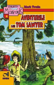 Aventurile lui Tom Sawyer