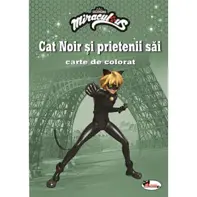Cat Noir și prietenii săi. Carte de colorat