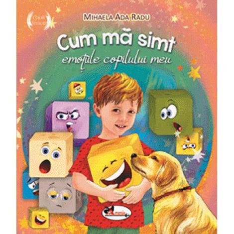 Cum ma simt. Emotiile copilului meu