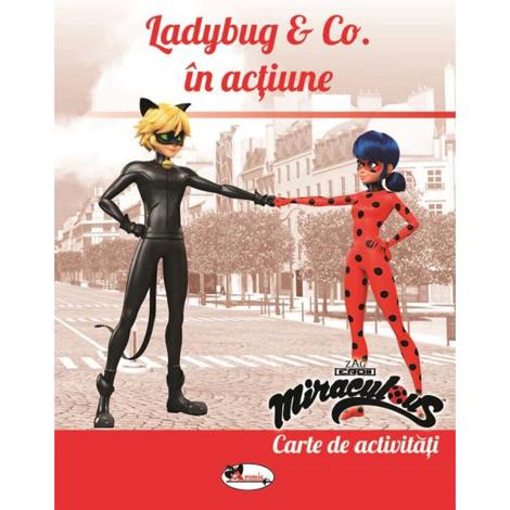 Ladybug and Co in actiune. Carte de activitati