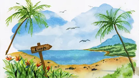 MARKER SOLUBIL 2 CAPETE SET 4 BUC TROPICAL COLLECTION TOUCAN GOLDFABER  