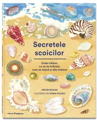 Secretele scoicilor 