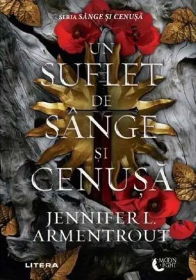 Un suflet de sange si cenusa. Seria Sange si Cenusa Vol.5 (resigilat)