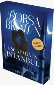 Escapadă în Istanbul