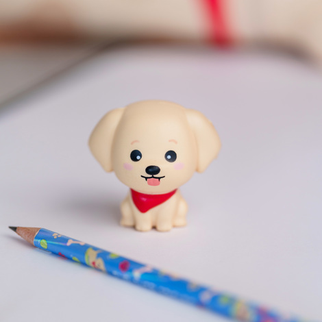 CREION SQUEEZIES GOLDEN LEGAMI