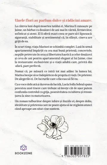 Pachet Drumul spre casa