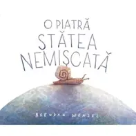 O piatra statea nemiscata