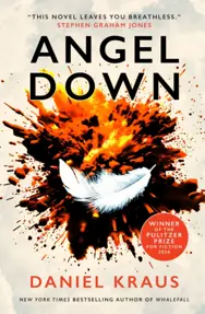 Angel Down : Winner of the 2026 Pulitzer Prize for Fiction