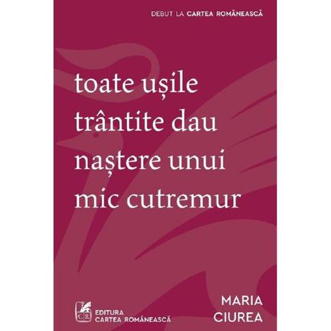 Toate usile trantite dau nastere unui mic cutremur