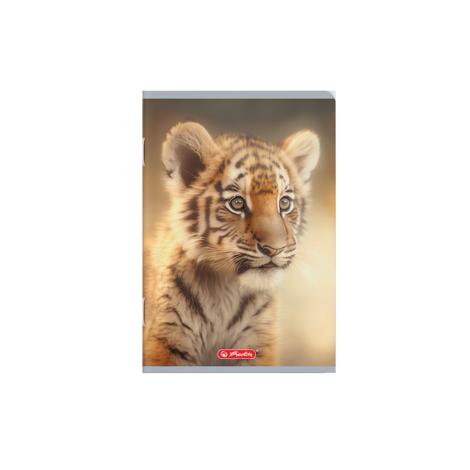 Set 10 caiete A5 48 file, dictando, hartie 70g/mp,  diverse modele7