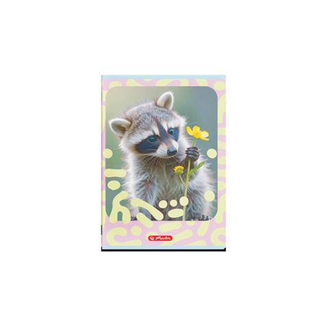 Set 10 caiete A5 36 file, Tip I, hartie 80g/mp, diverse modele26