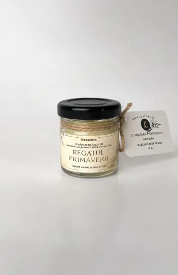 Pachet Bine ai venit in Prythian